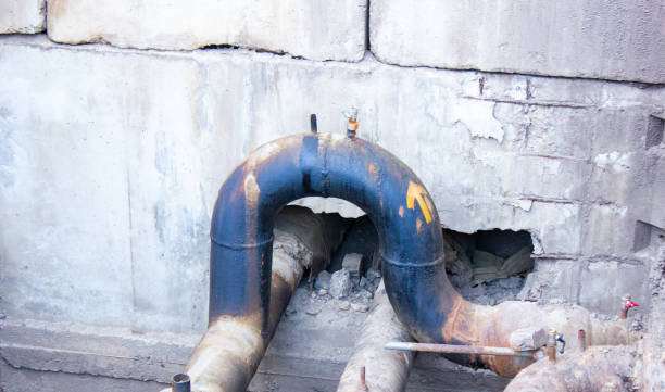 Best Mold Prevention and Remediation in Healdton, OK